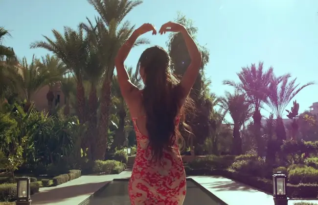 Director of Photography